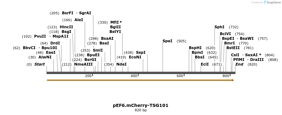 50578_map