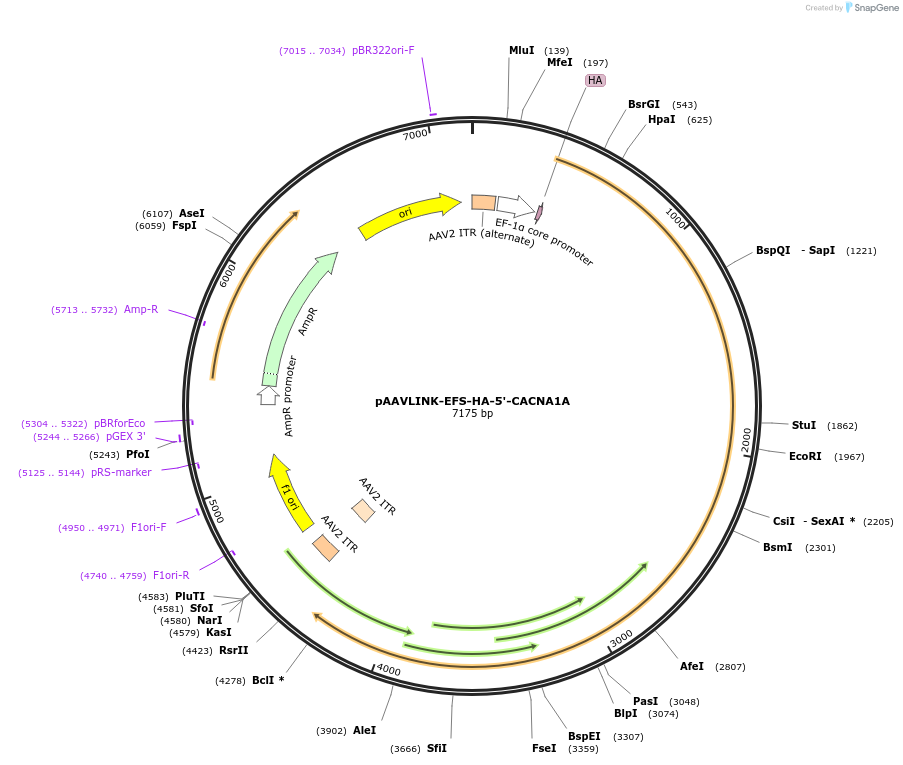 505820_map