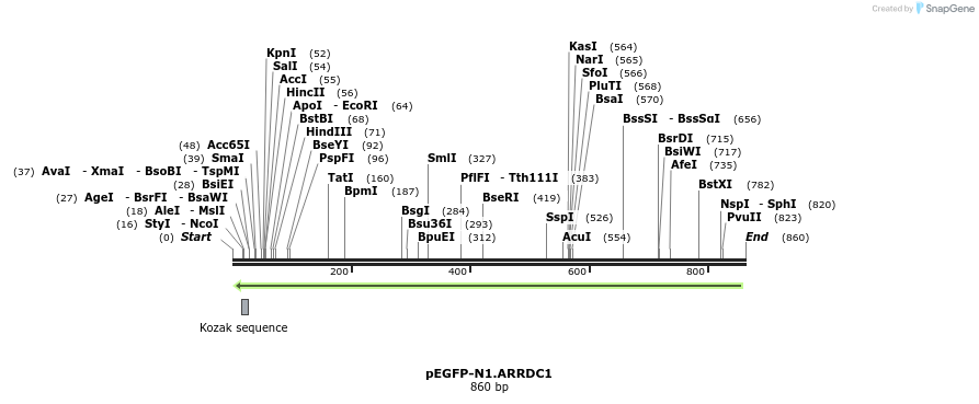 50584_map