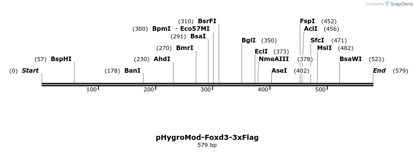 50588_map