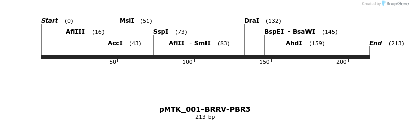 505881_map