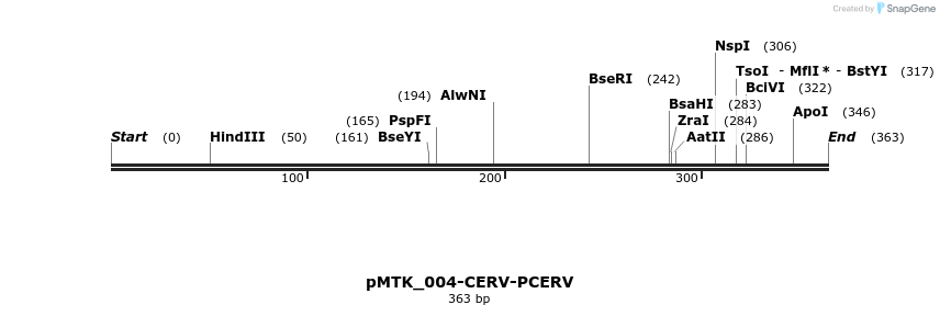 505887_map