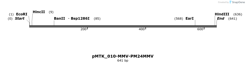 505899_map