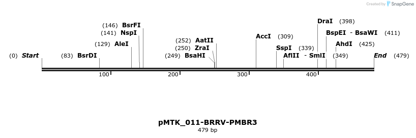 505901_map