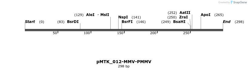 505903_map