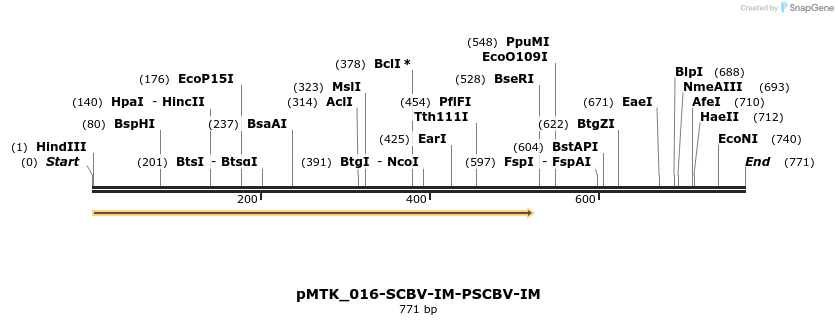 505911_map