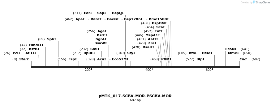 505913_map