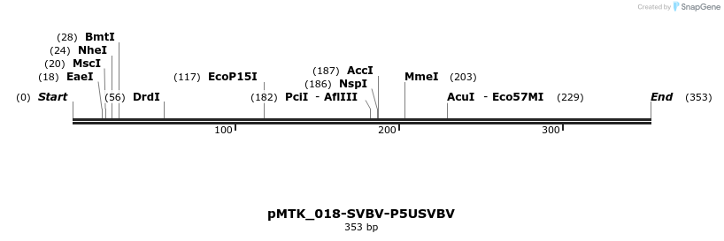 505915_map