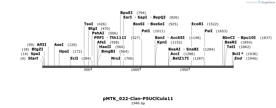 505923_map