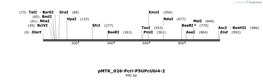 505931_map