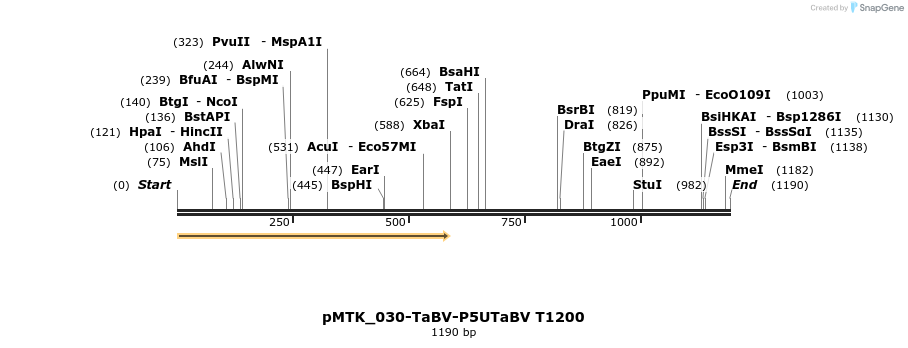 505939_map