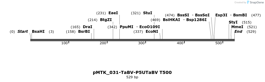505941_map