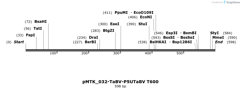 505943_map