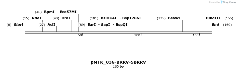 505951_map