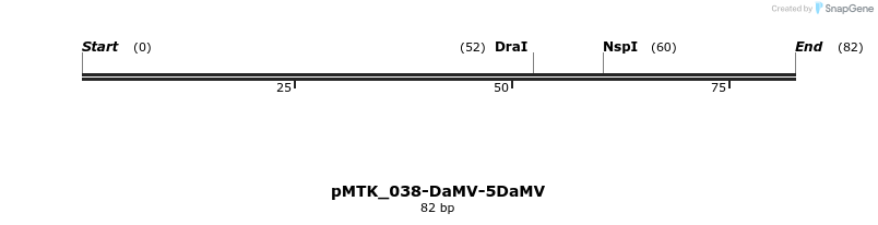 505955_map