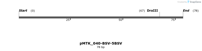 505959_map