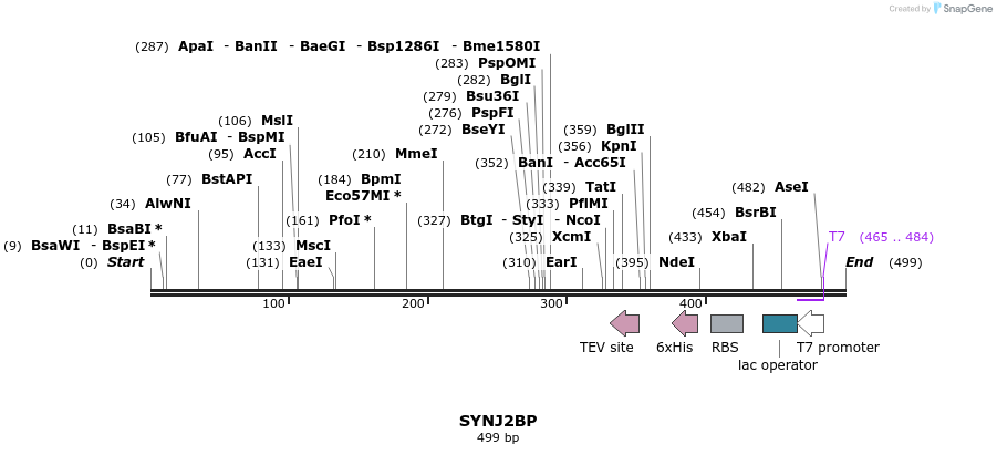 50597_map