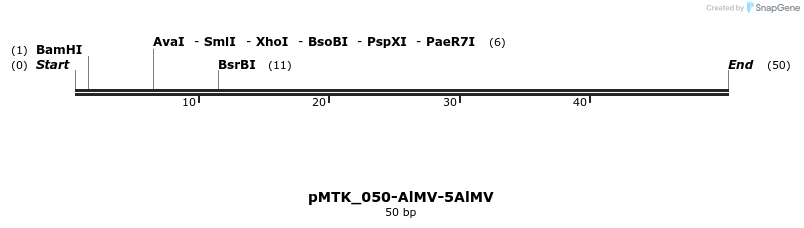 505979_map