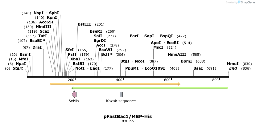 50598_map