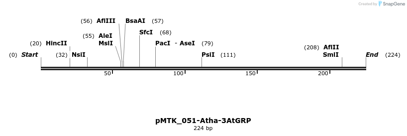 505981_map