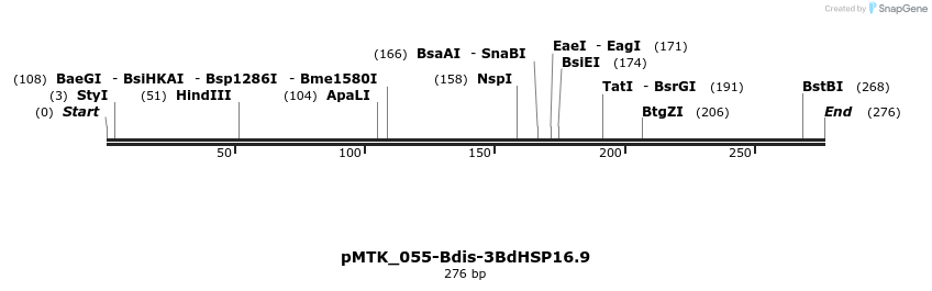 505989_map
