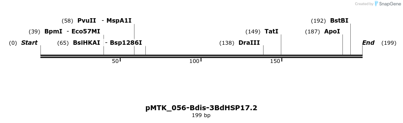 505991_map