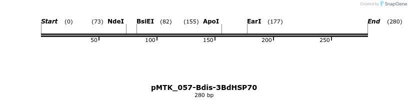 505993_map