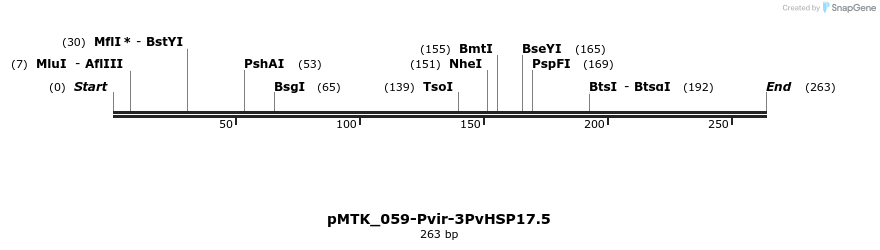 505997_map