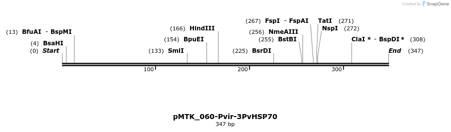 505999_map