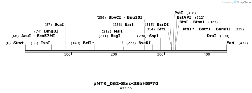 506003_map