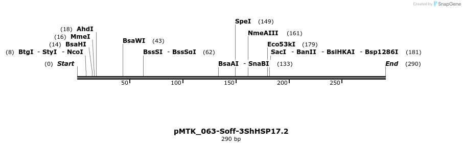 506005_map