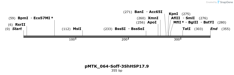506007_map