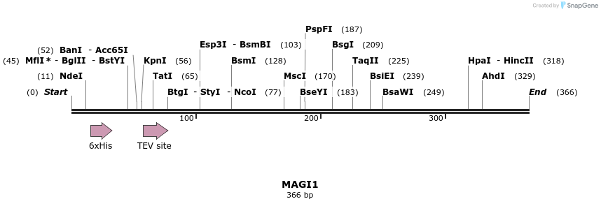 50601_map