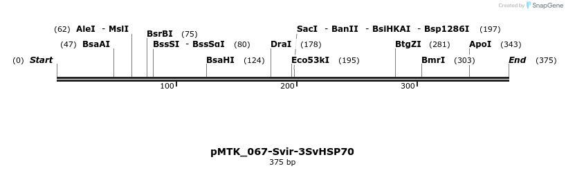 506013_map