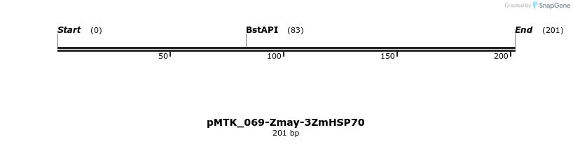 506017_map