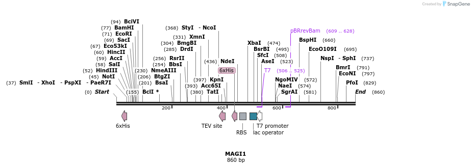 50602_map