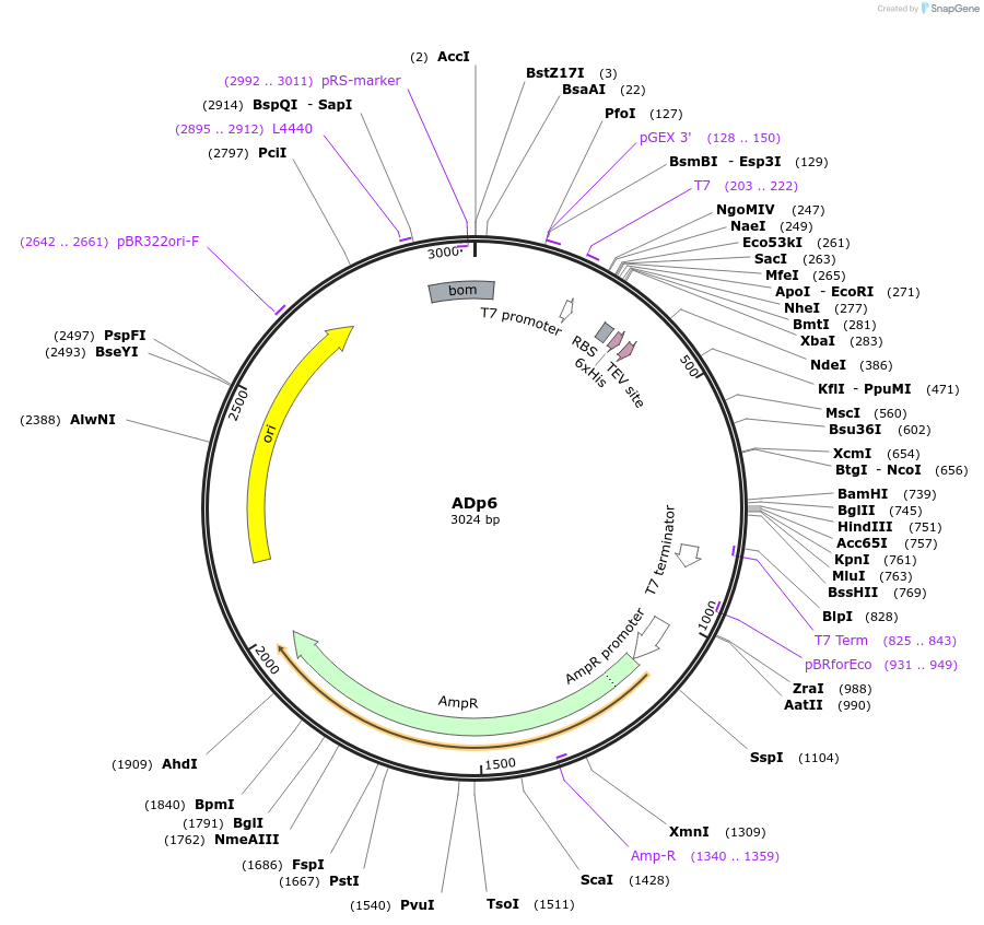 506020_map