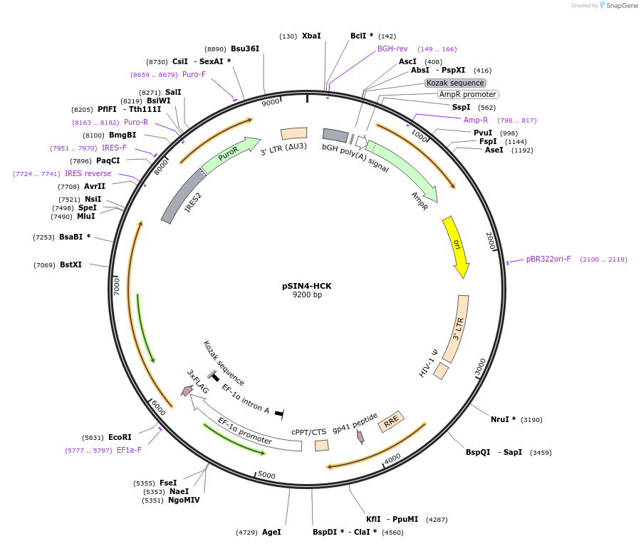 506033_map