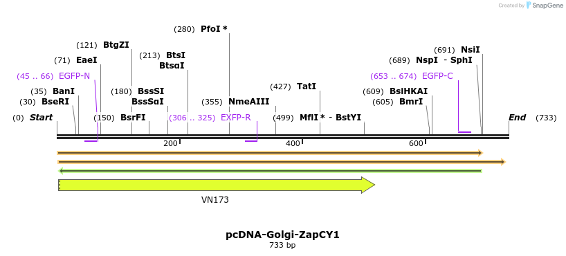 50605_map