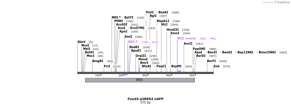 50607_map