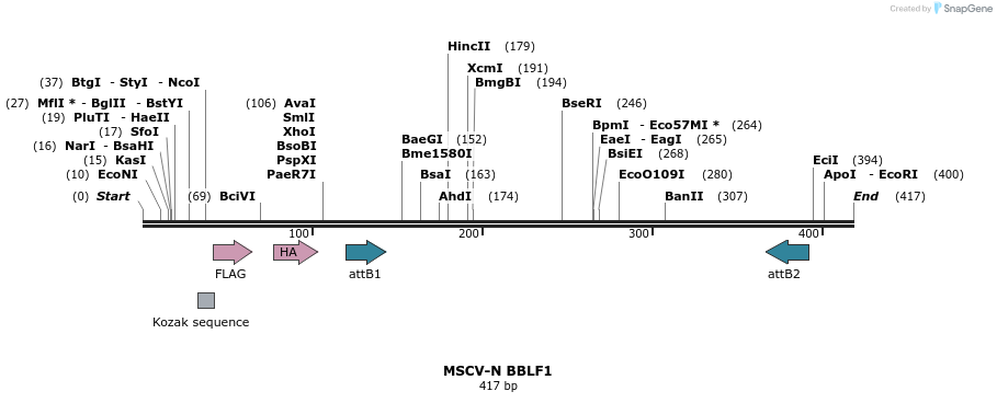 50609_map