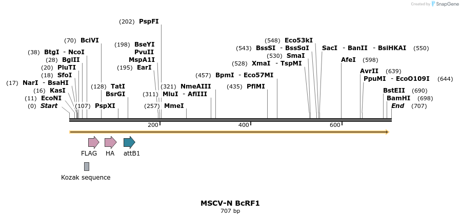 50610_map