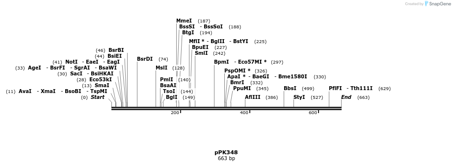 50611_map