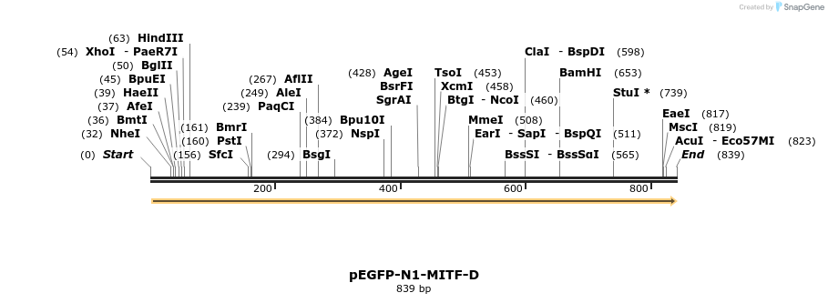 50613_map