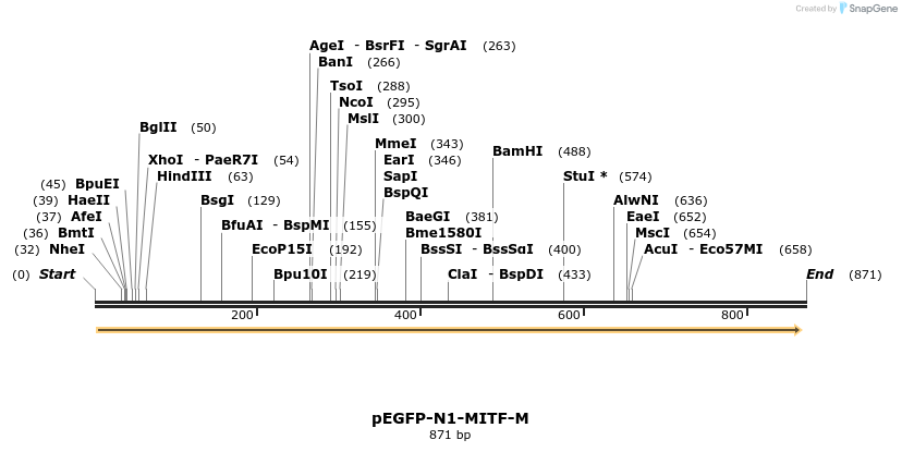 50615_map