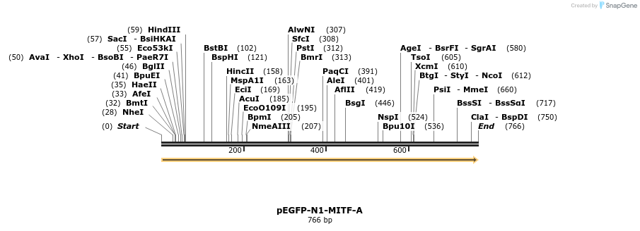 50616_map