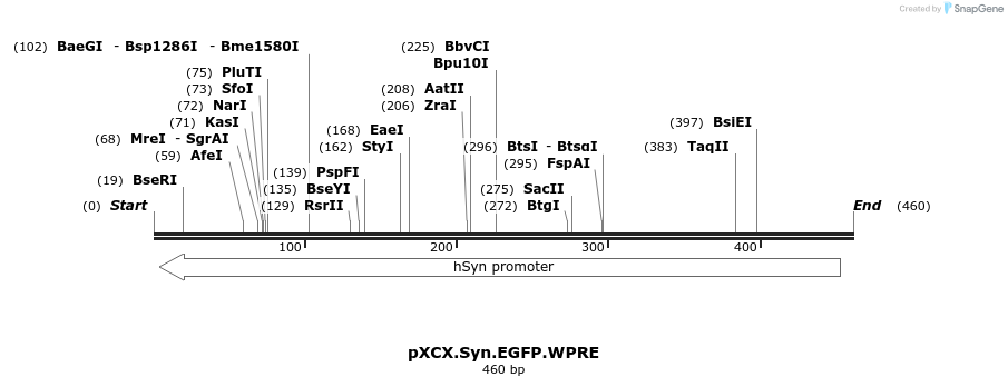 50619_map