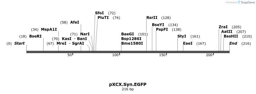 50620_map