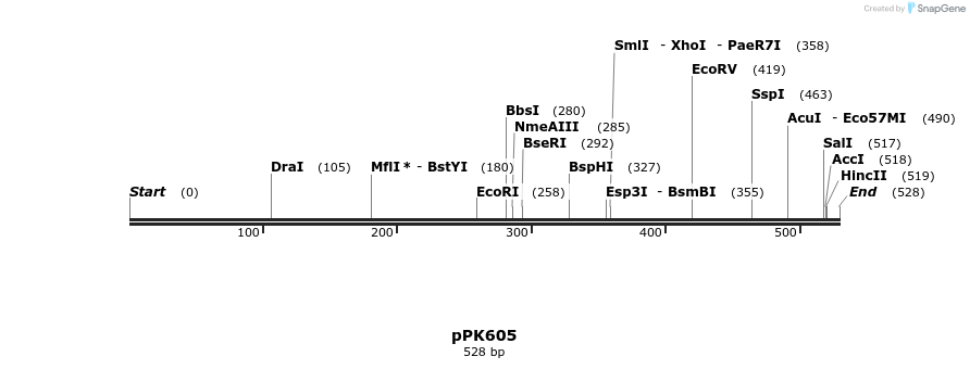50622_map