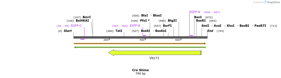 50624_map